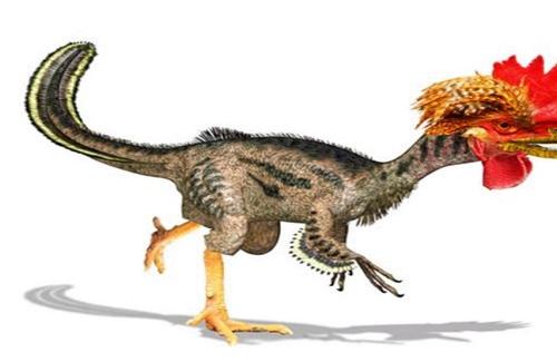 Thử nghiệm tái tạo phôi thai khủng long từ DNA vào gà